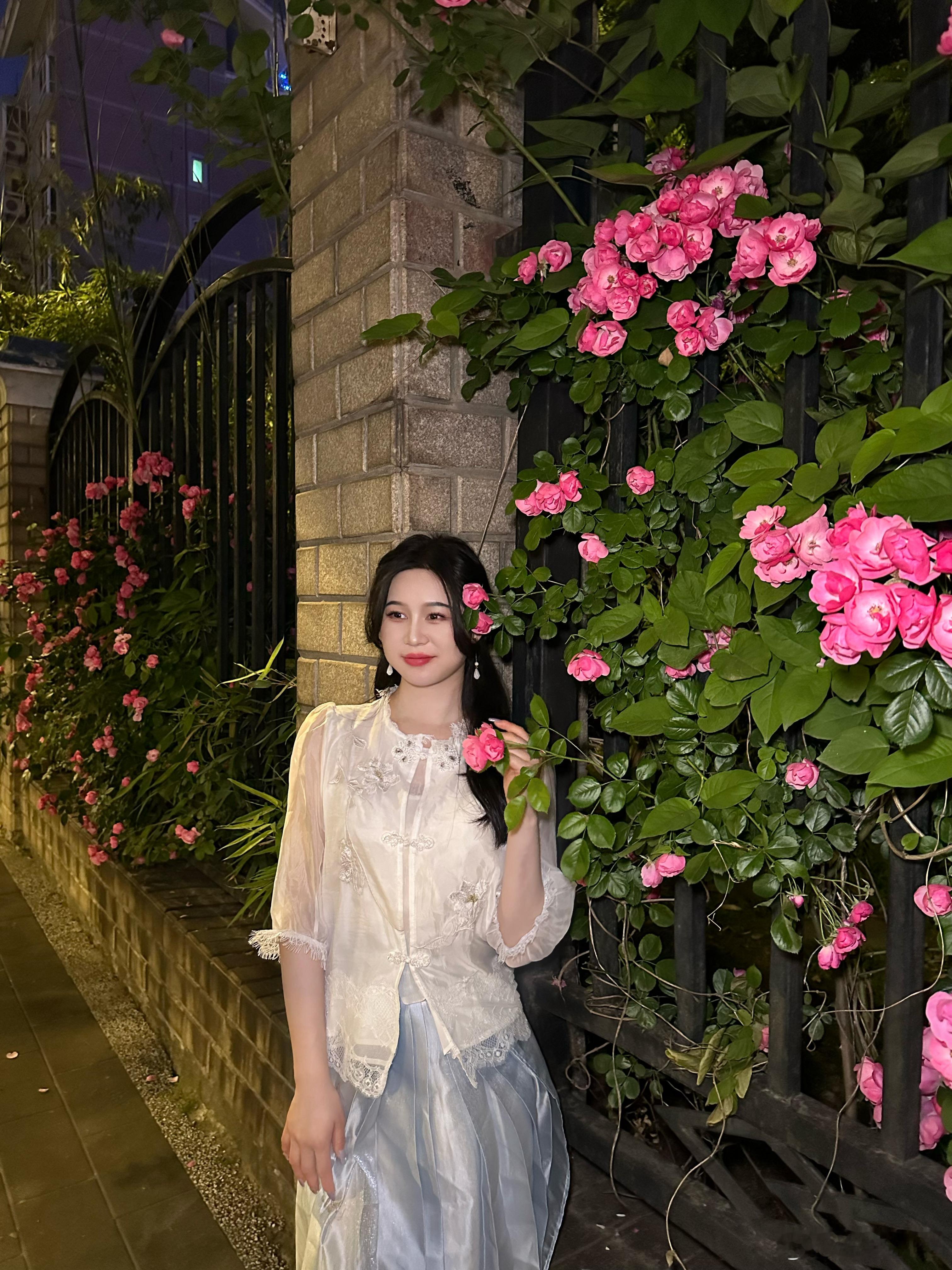 当我穿新中式途经盛放的蔷薇花 ​​​