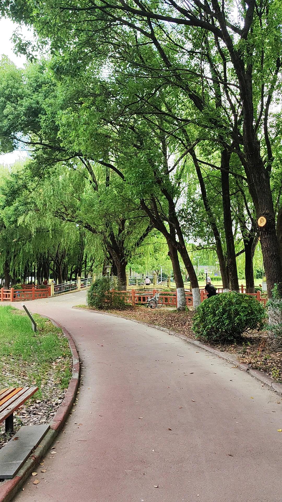 点绛唇   仲夏旧游

清晓微曦，
驱车故径寻村墅。
小桥烟渚，
临水萦心绪。