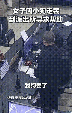 女子自家狗狗不慎走失，心急之下赶往派出所，申请调取监控线索，一心想着尽快找回爱犬