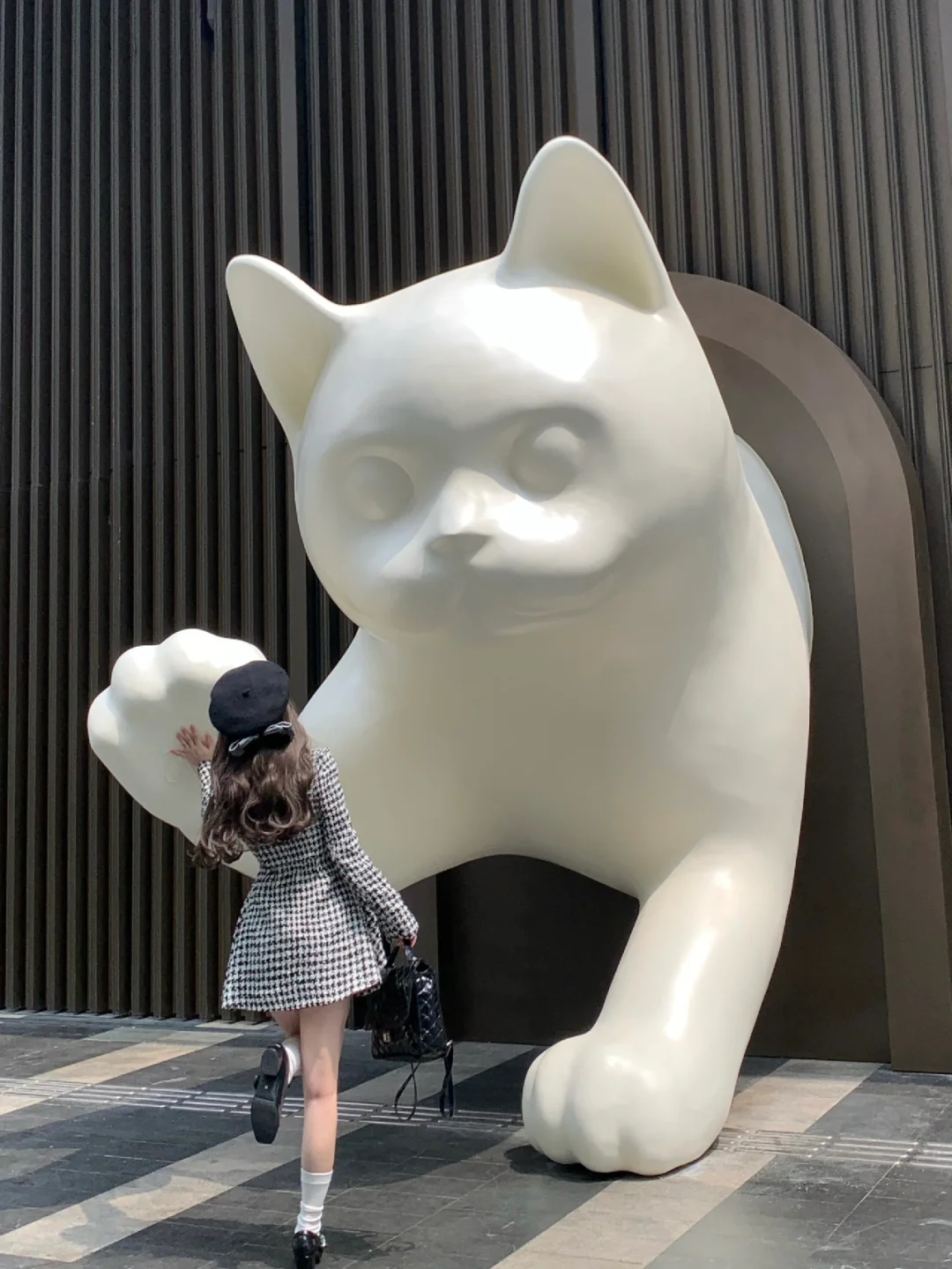 /ᐠ ̳•̀֊• ̳ᐟ\ ੭参见！猫猫殿下