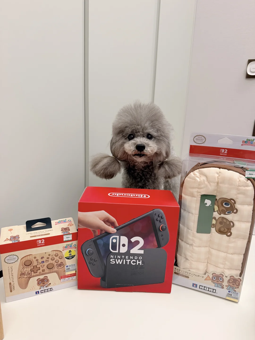 香港走1w步给牌子狗买switch2