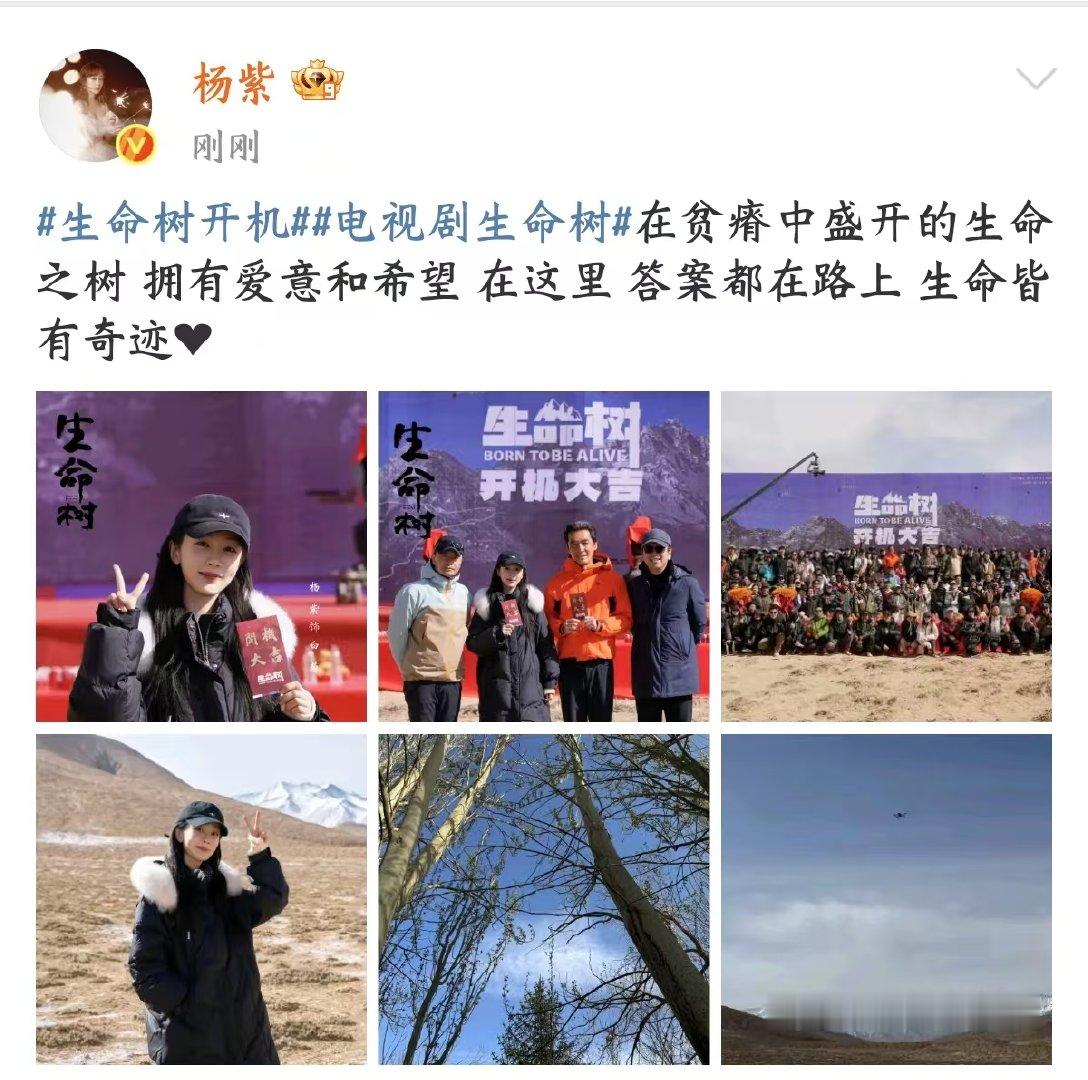 杨紫在贫瘠中盛开的生命之树 杨紫生命树开机plog 在贫瘠中盛开的生命之树 拥有