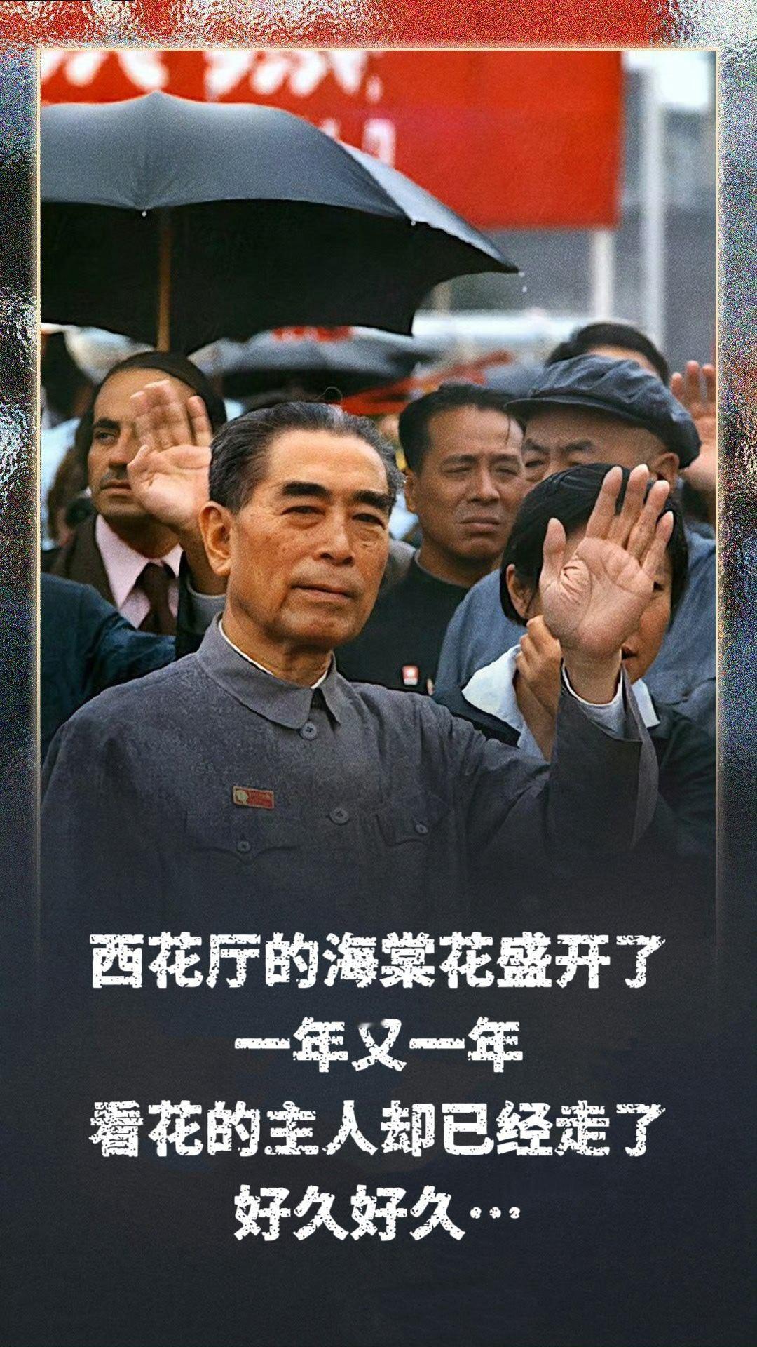 1976年1月8日09时57分西花厅的海棠花盛开了一年又一年，看花的主人却已经走