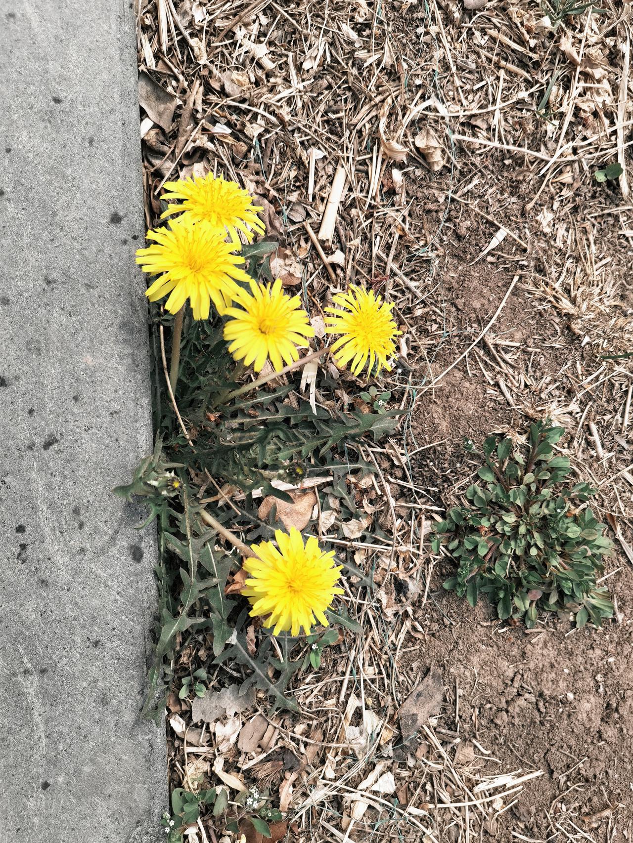 能送给我一句处在低谷期激励的话吗加油，改善技能和沟通技巧，熬过去就是春天。