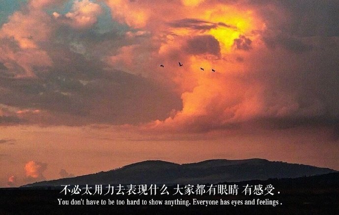 曾经我以为他不懂，就一遍遍告诉他、暗示他，最后我发现有些人不是不懂，是他不想在你