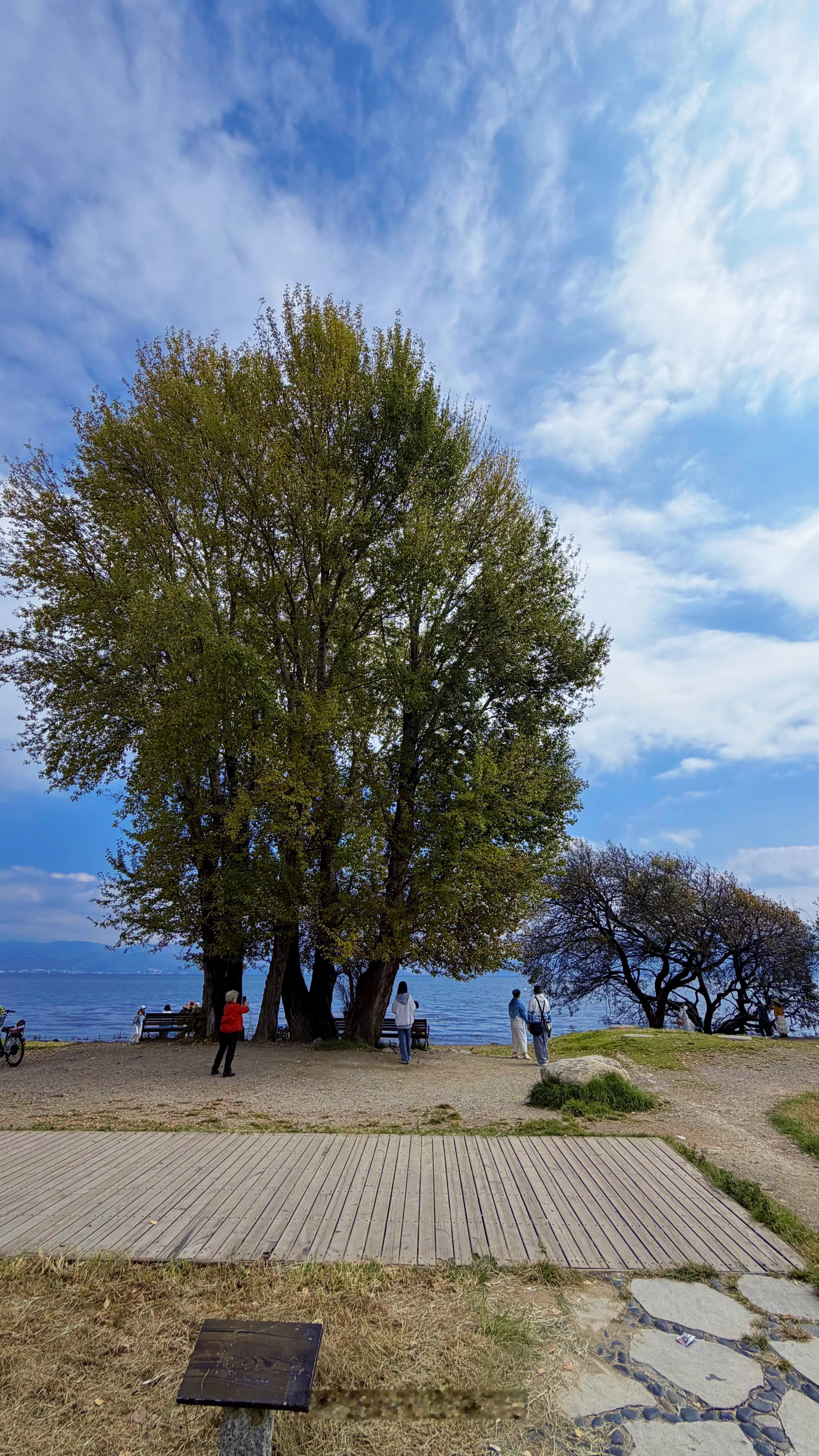 想用五天时间深度玩转风花雪月的大理吗？这份私定小团行程就是为你量身打造的！人均仅