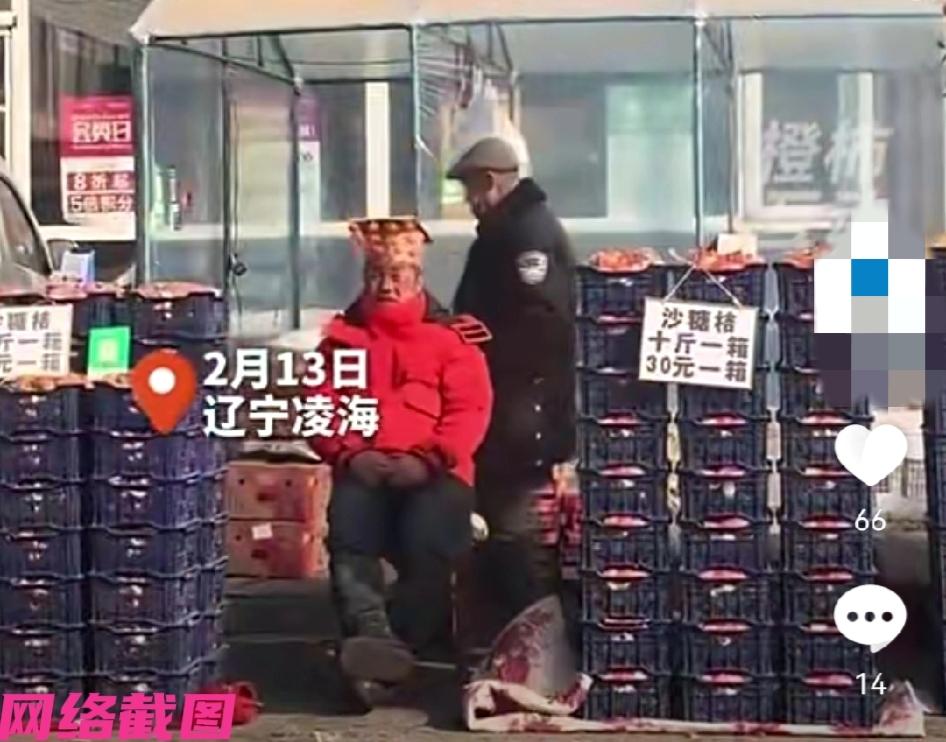 辽宁凌海有人看到一处卖砂糖橘的老板，此刻老板板正坐在自己的摊位前，只不过他的头顶