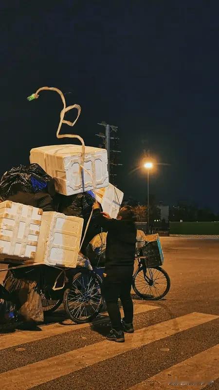 2026年，我们努力生活，赚钱。