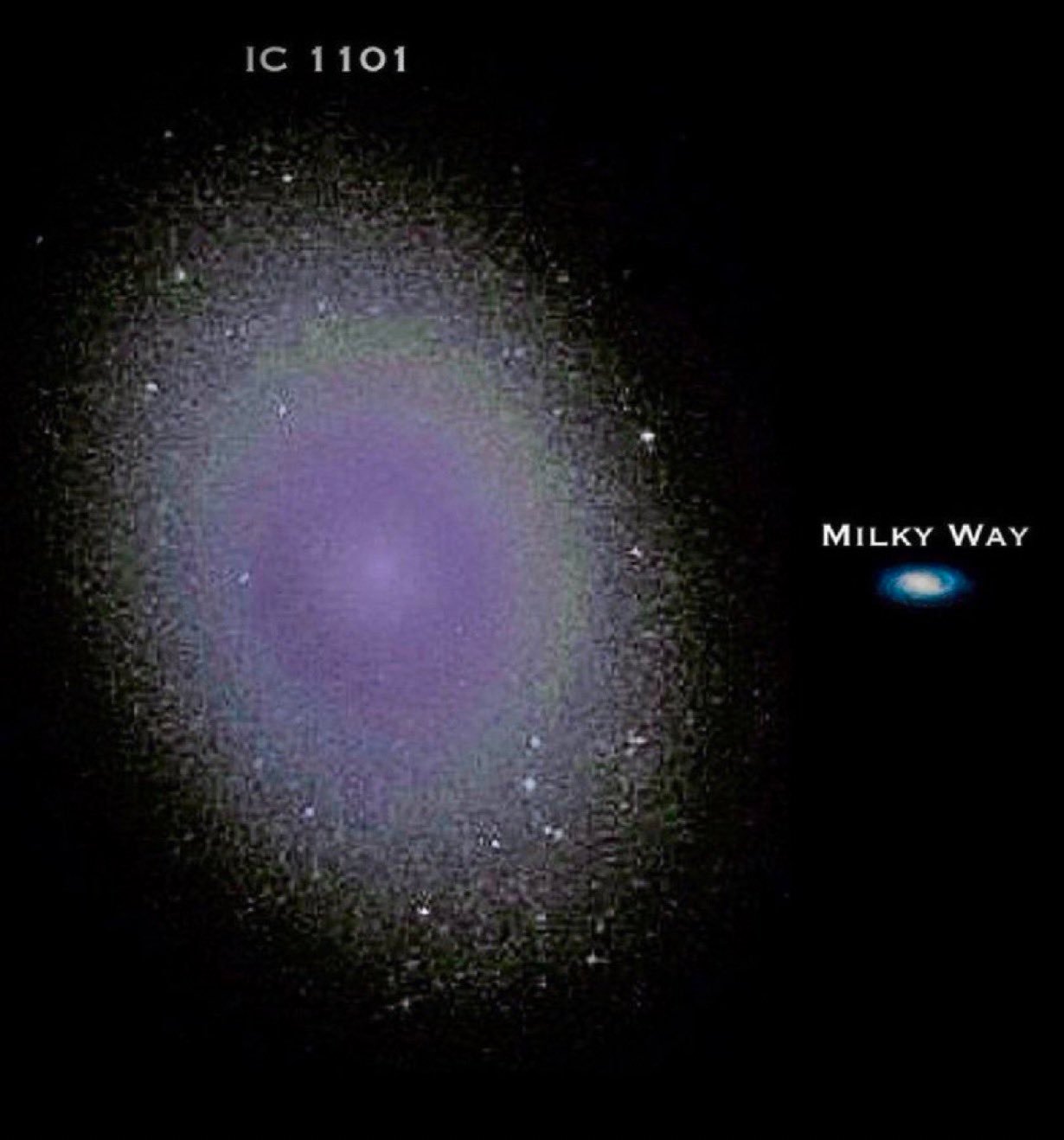 IC 1101 是迄今为止观测到的最大的星系之一。据估计，它的直径为数百万光年，