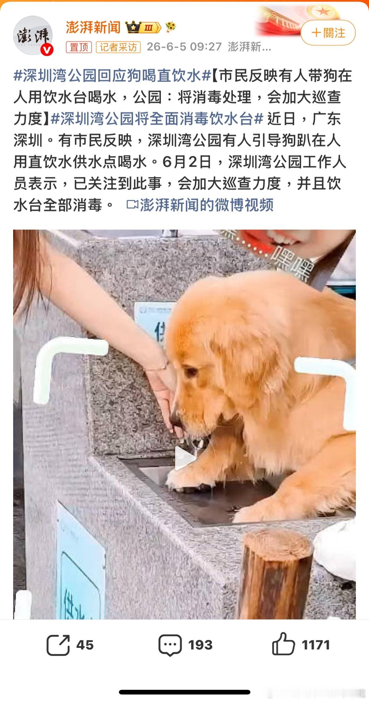 可以帶狗去公園嗎？深圳湾公园回应狗喝直饮水諸葛臥龍反忽小隊