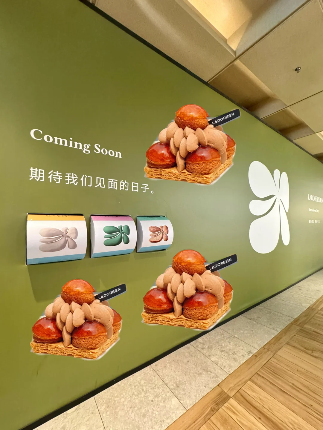 🍮甜品脑袋狠狠期待住了！