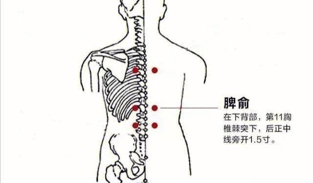 艾灸健脾是产生更多免疫力 卫气不是身体自然就能变出来的，它需要身体吃东西，吸收食