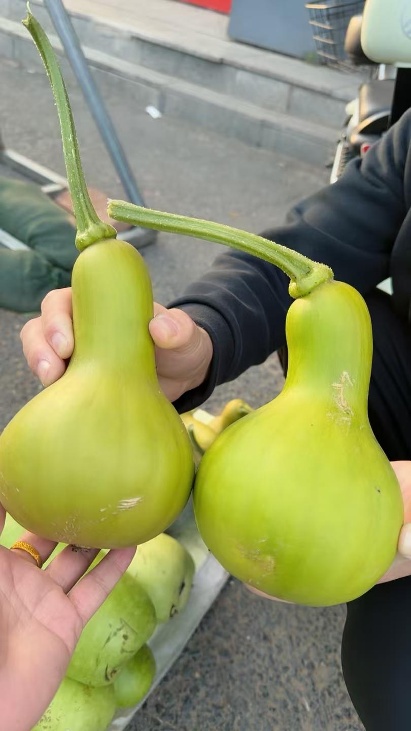 这个是窝瓜，你敢信吗？究竟是葫芦那啥，还是窝瓜那啥了呢？ 
前几天在菜市场看到个
