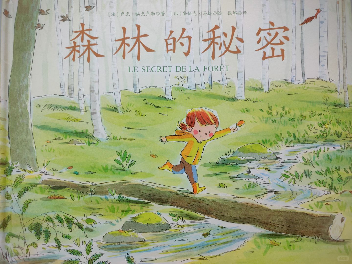 🌳森林里面有什么秘密？