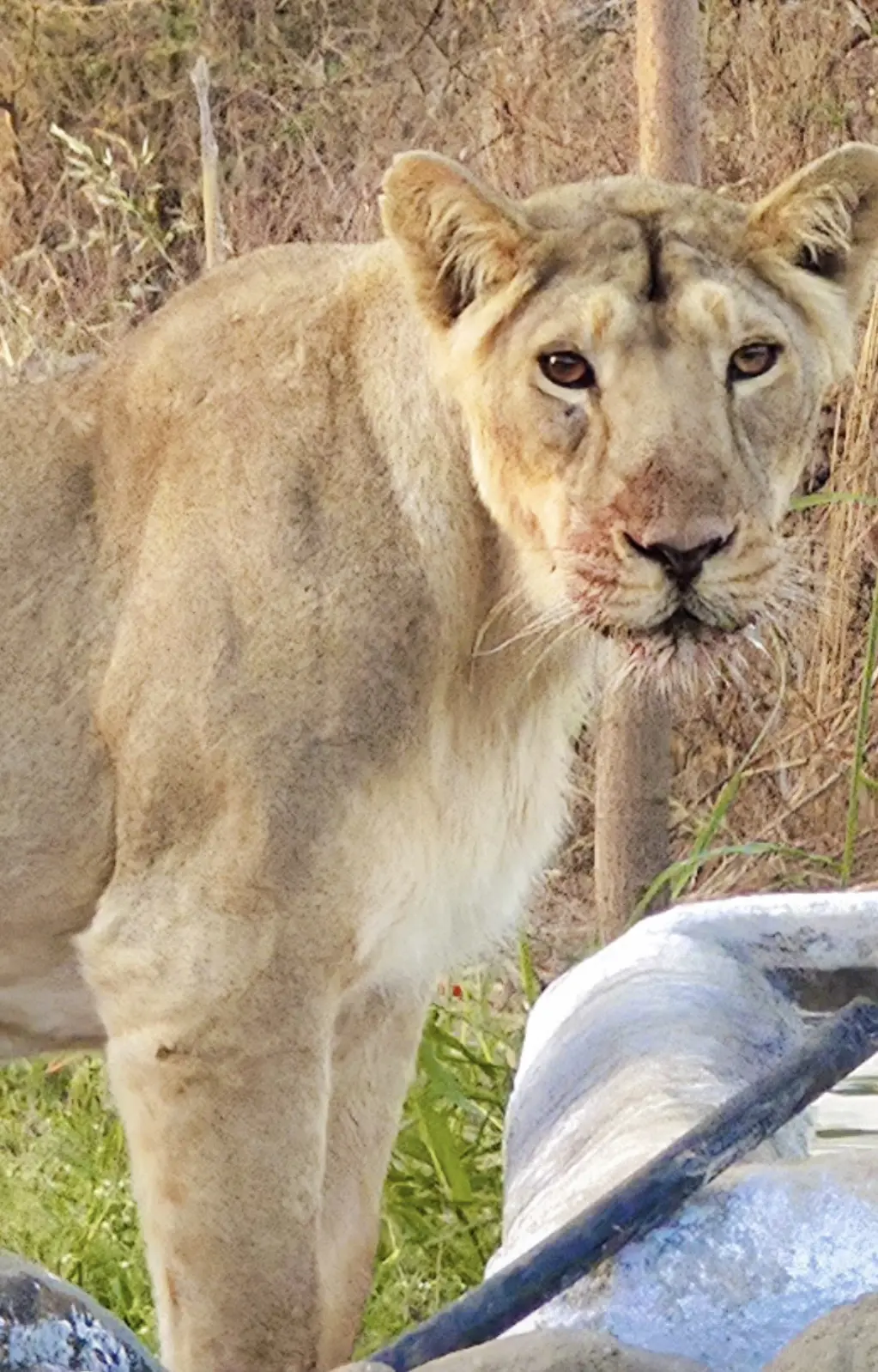 老乡，我来你家喝口水哈。