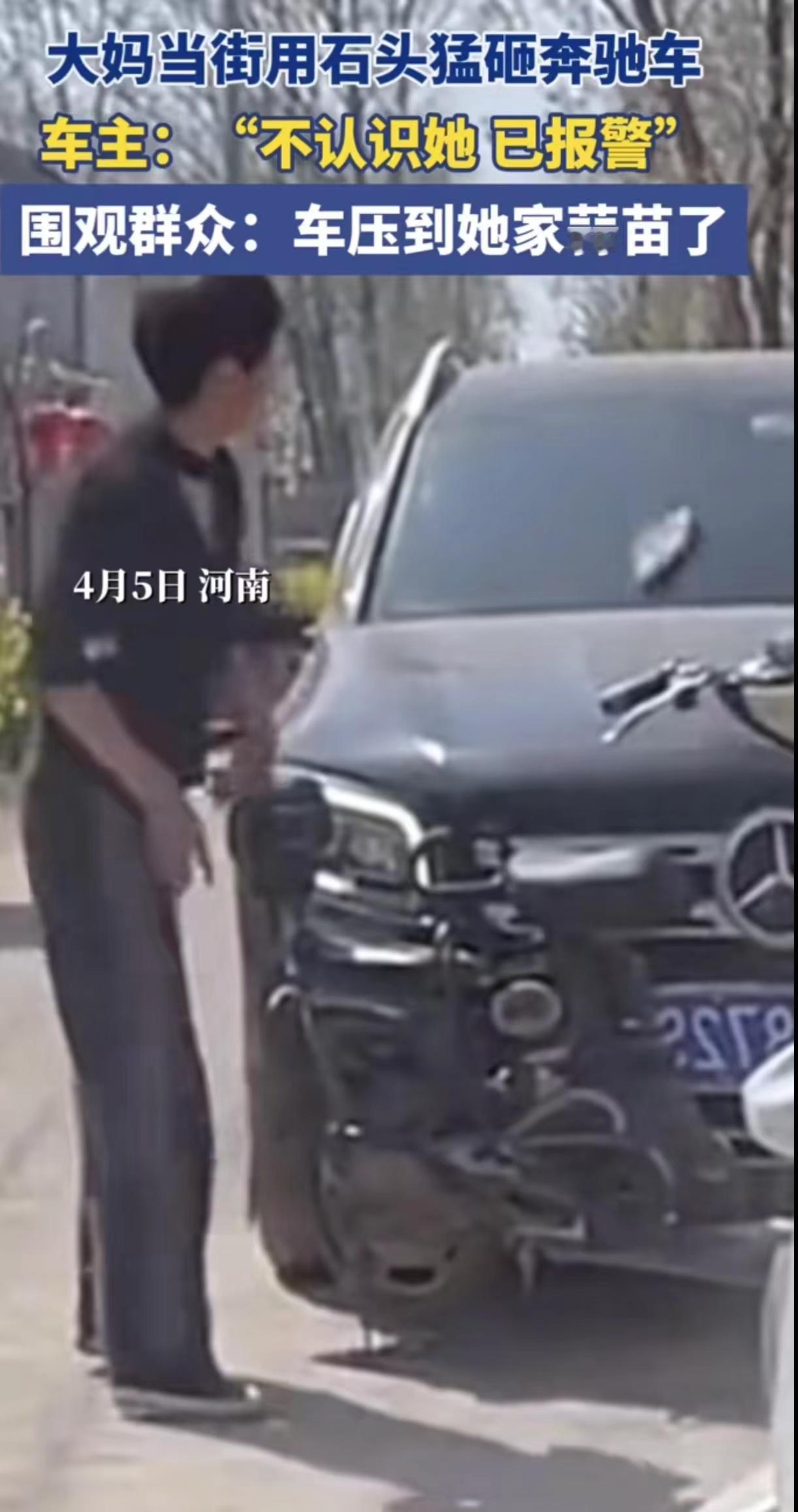 河南大妈当街用石头猛砸奔驰车，围观群众：车压她蒜苗了
4月5日，河南有网友就曝光