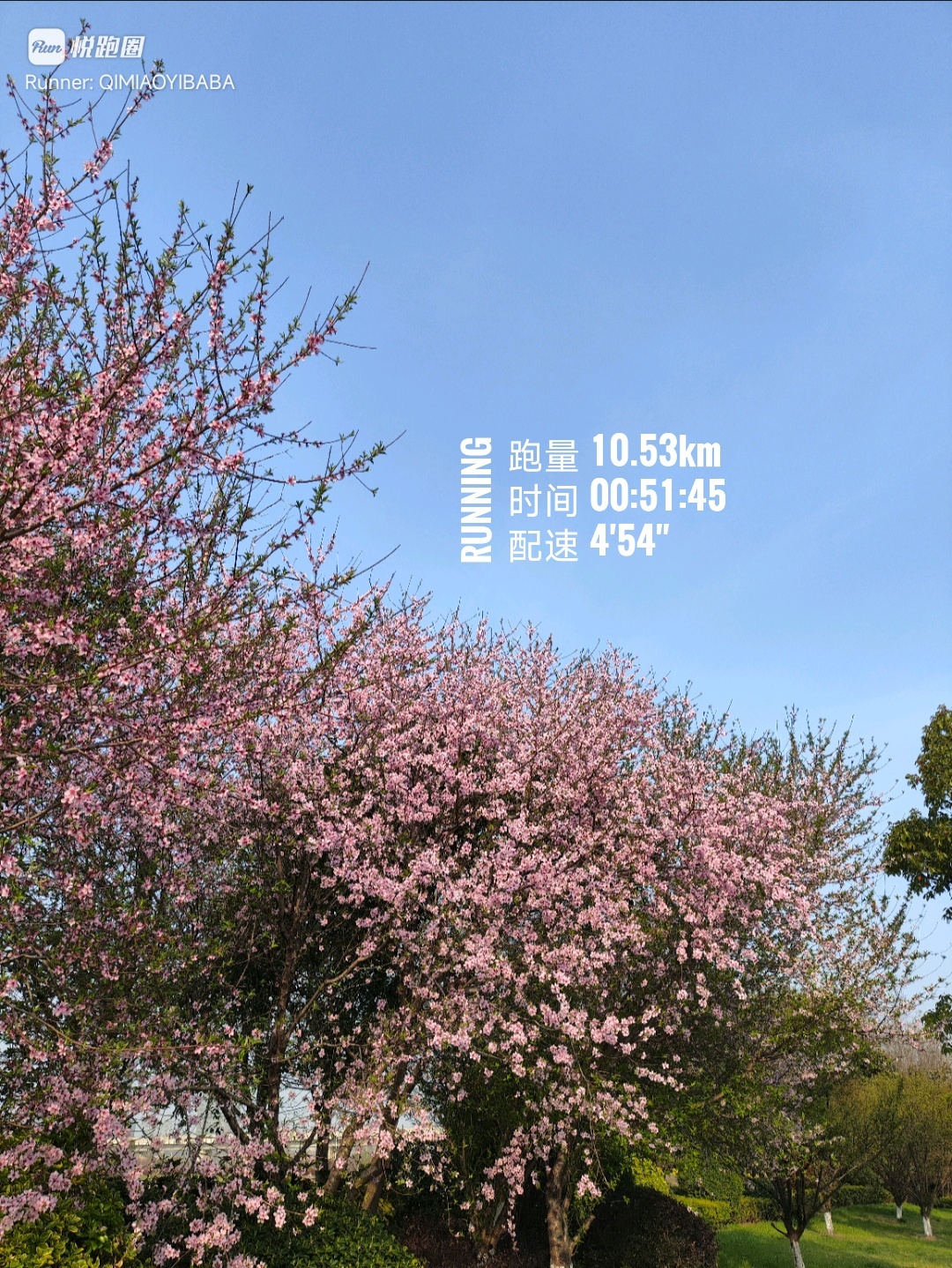 同学们早ﾉ☀就此翻篇吧，你一个猴子🐵应该要知足了，他们还是觉得你不配，或者怕自