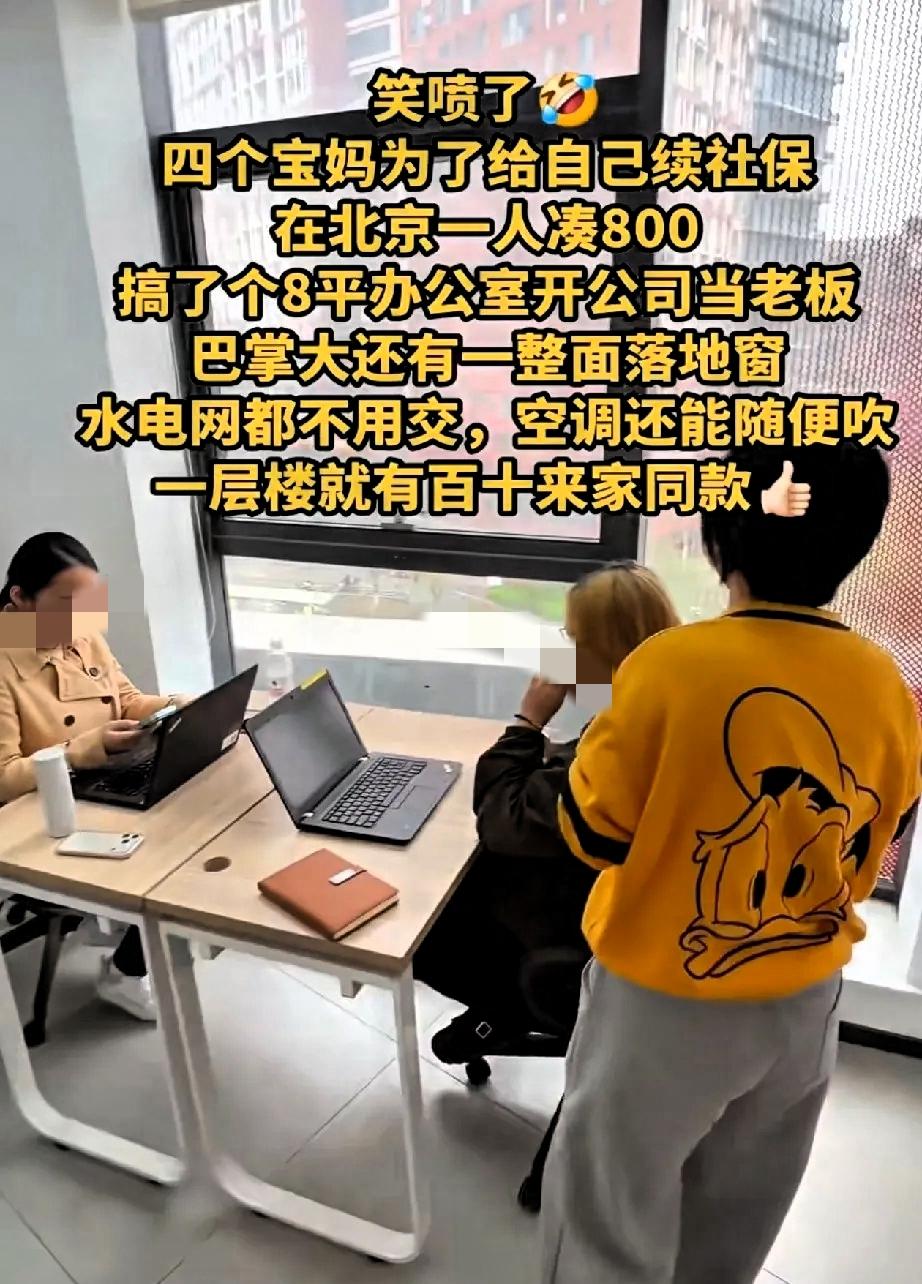 北京四位宝妈，为了续社保，每个人凑800元，开了一家8平米的小公司，水电都不用交