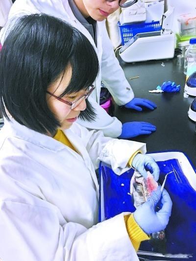 今后再也不用担心吃鱼卡刺了。记住这个女科学家名字：高泽霞。华农教授高泽霞找到了控