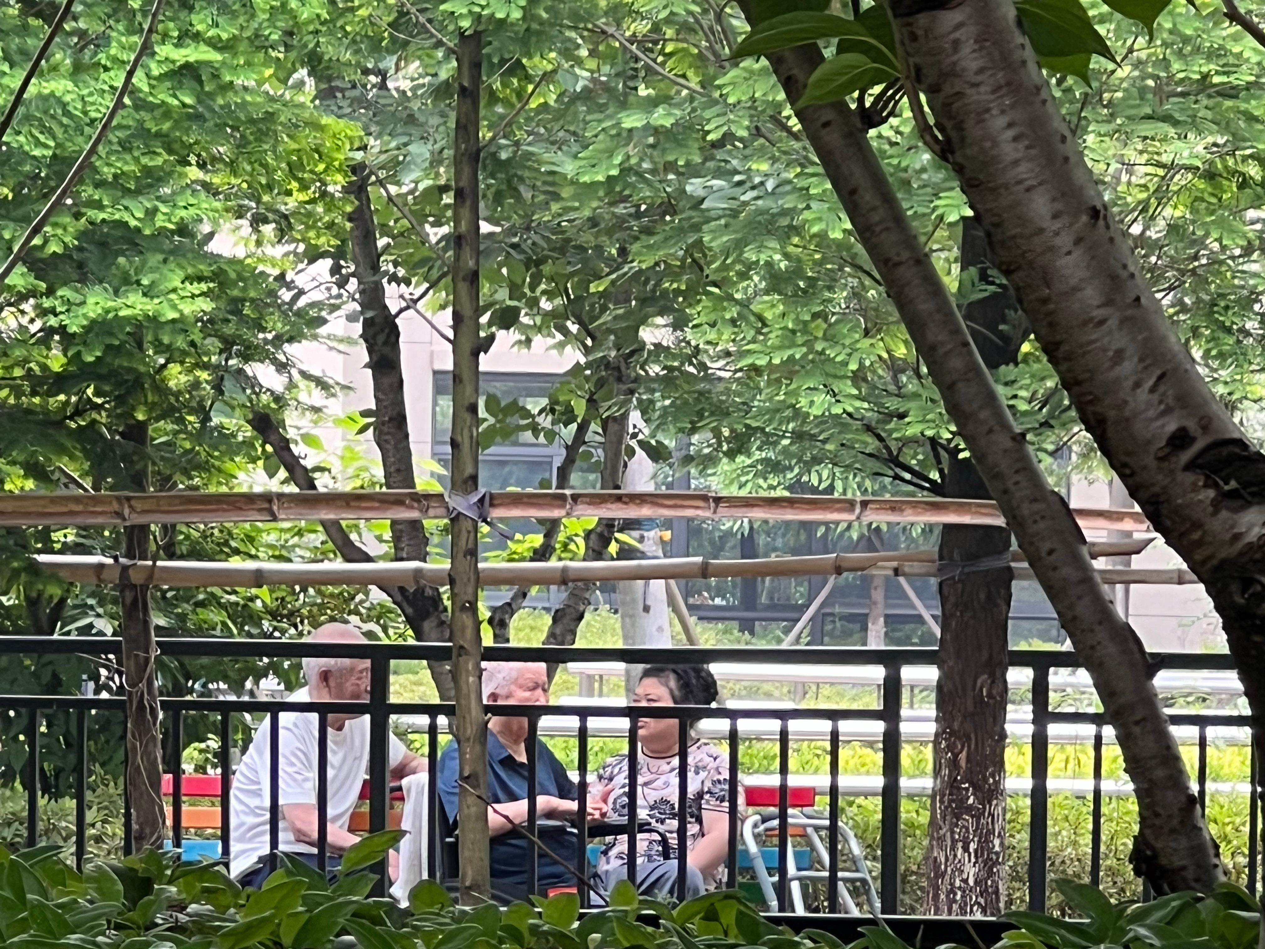 路过一片小树林，三位老人在树荫下乘凉，有人摇着扇子。一位老人吐槽，孙媳妇天天打麻