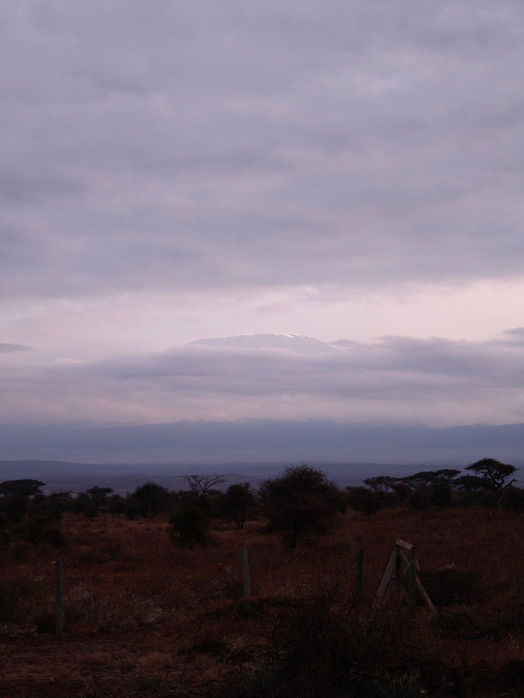 肯尼亚住宿点评（5）：Amboseli Sentrim Lodge安博塞利的Se