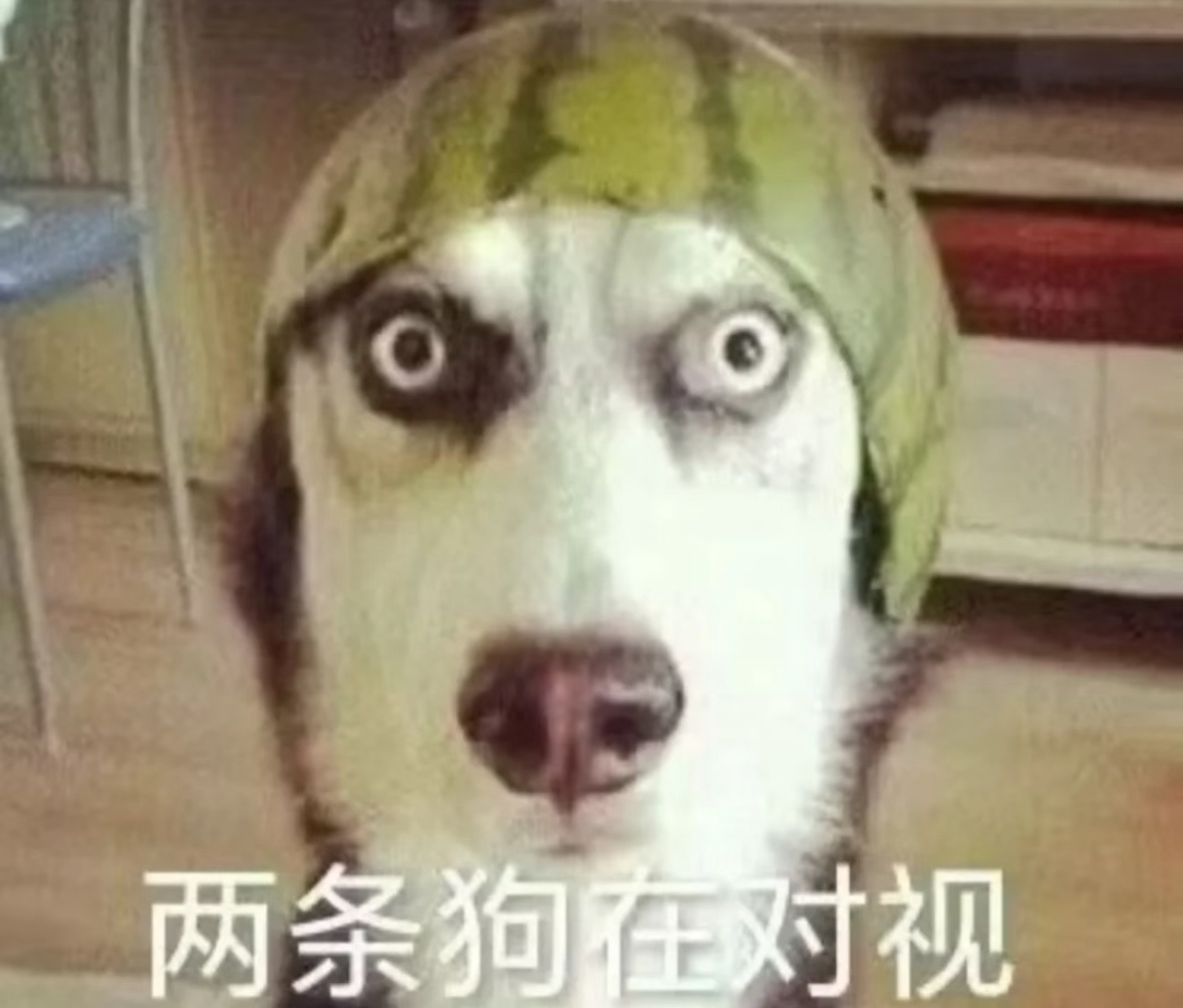 分享图片 