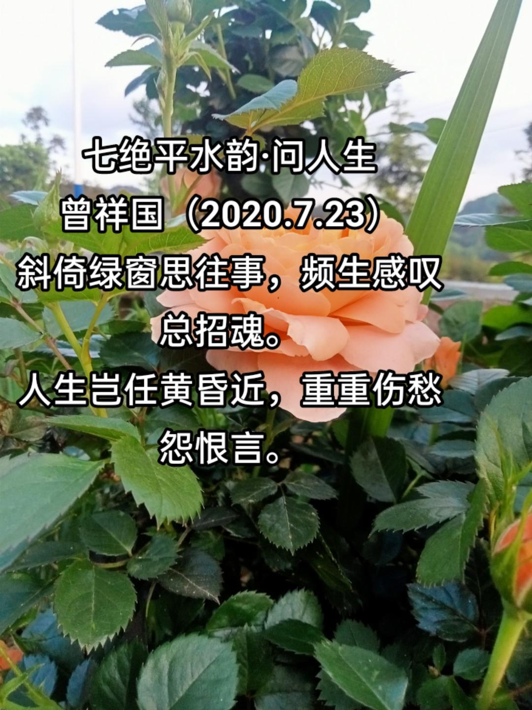 问人生