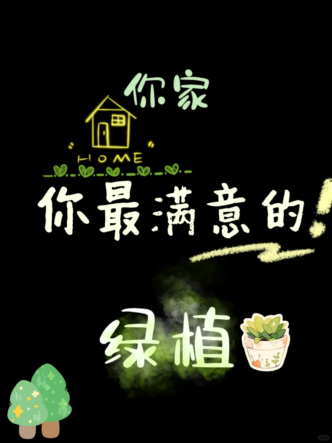 我相信每个人的家里都有一盆绿植