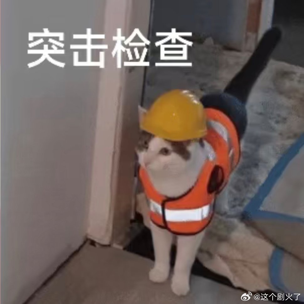 每日表情包分享。 