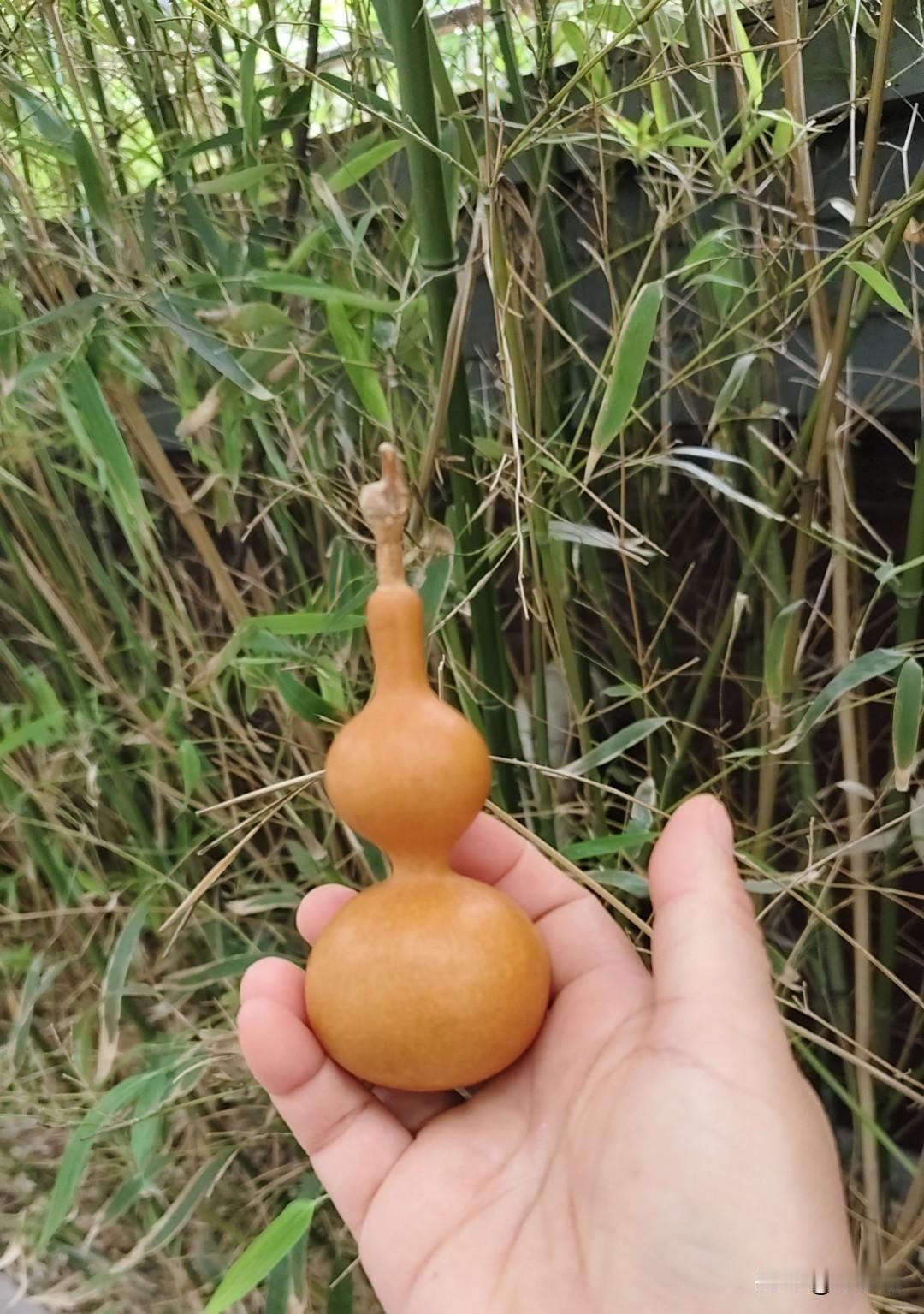 我认为不支持，这样不能安心上课听歌。我是70后我们小的时候别说手机，每家都没有固