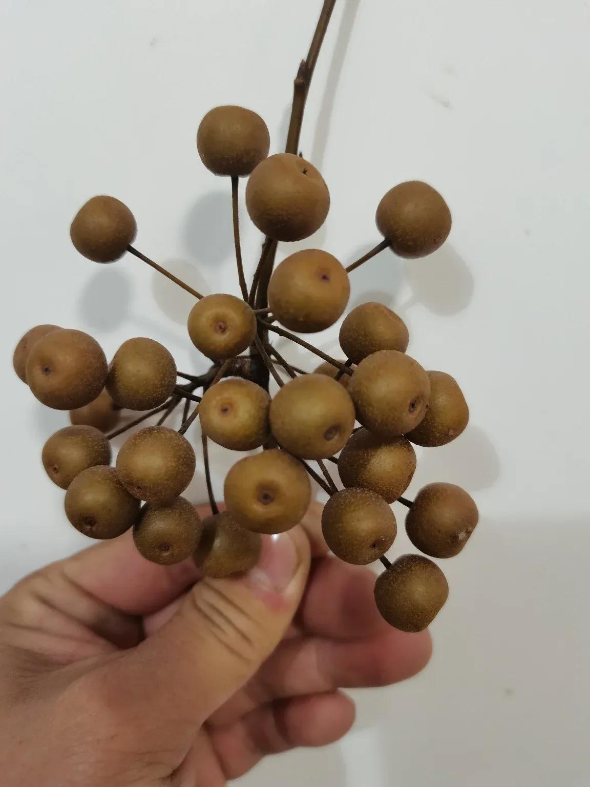 不懂就问，这是什么水果？秋天以后才有！只有北方人知道！
长得像小小个的梨，但是又