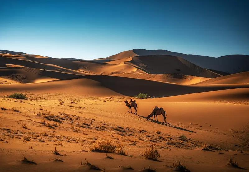 我们努力，不只是为了追上他人的脚步，更是为了不辜负内心尚未熄灭的火光。 那些在深