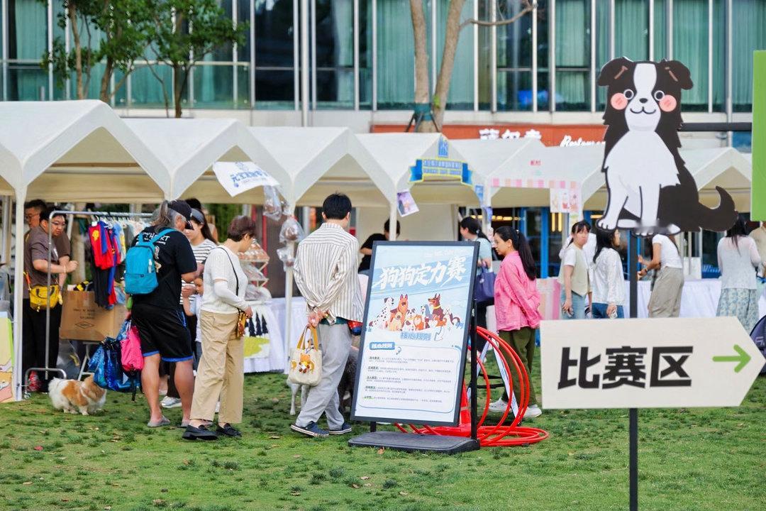 上海小狗也来预测世界杯了上海萌宠预测世界杯32强上海街头萌宠集体上线化身赛事预言