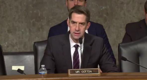 美国共和党籍参议员汤姆·科顿表示，如果中国的学生想来美国的学院和大学求学，那他们