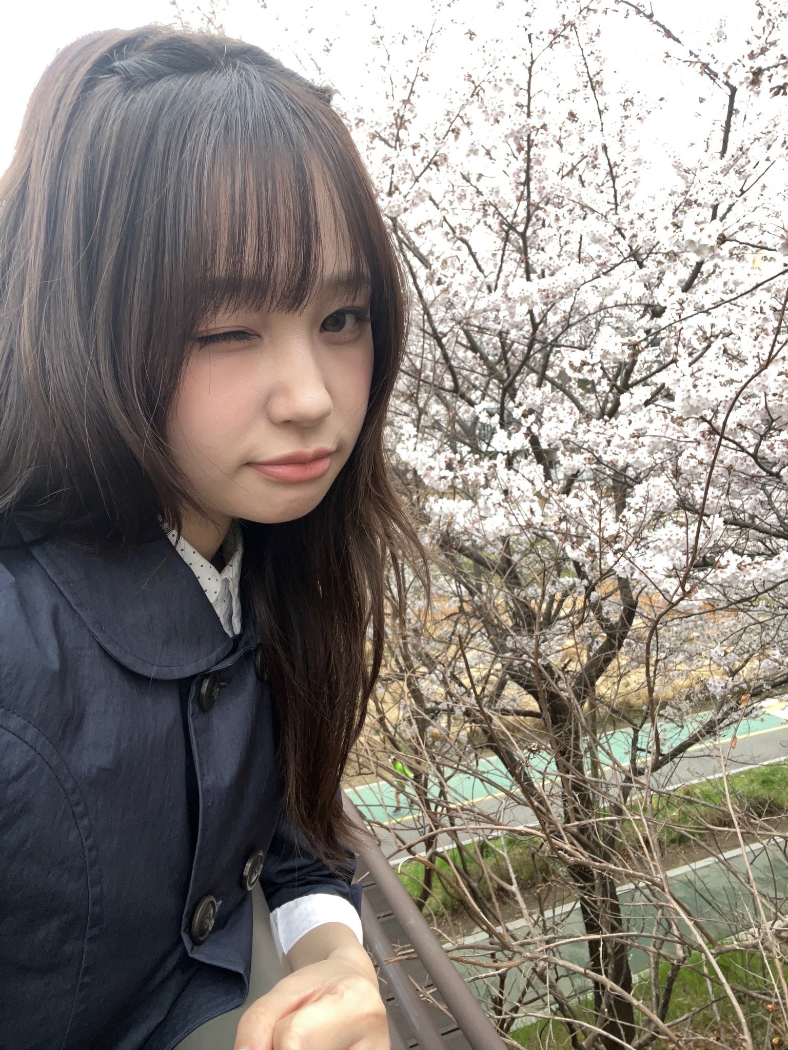 韩智效 
