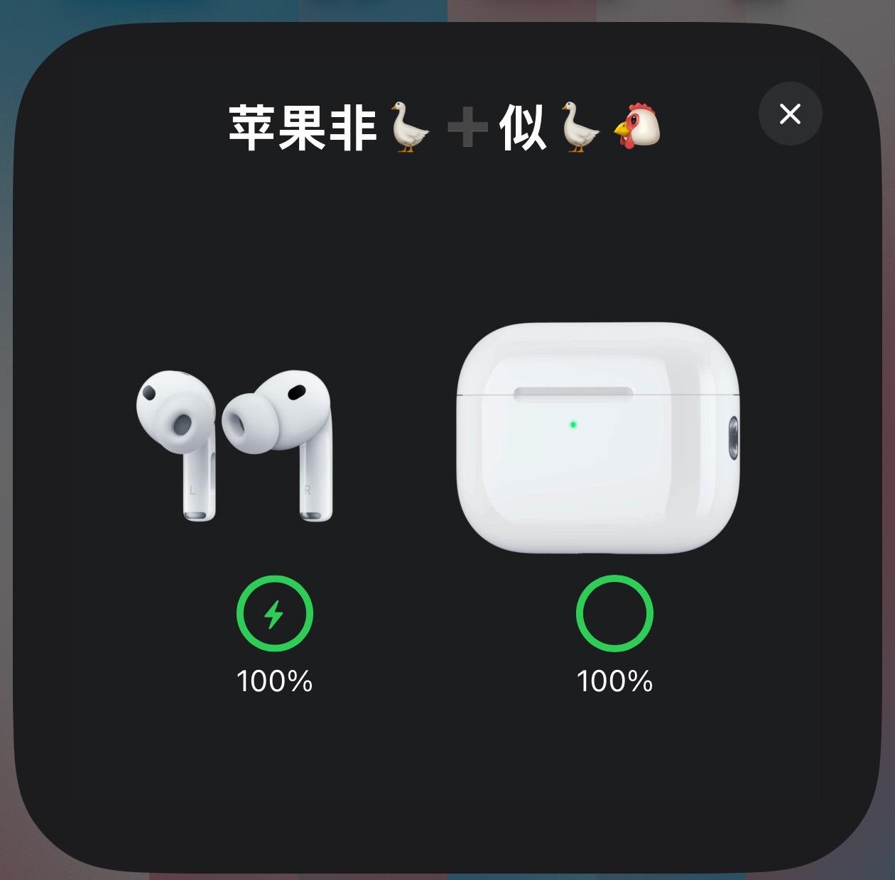 我没有🪿➕似🪿🐔，所以只能用我的苹果非🪿➕似🪿🐔了。 