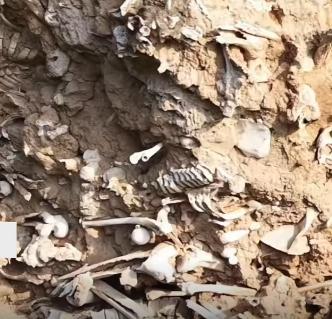 山西运城一路面塌陷后惊现大量白骨，当地文保回应称此地是南北朝时期古战场！

这次