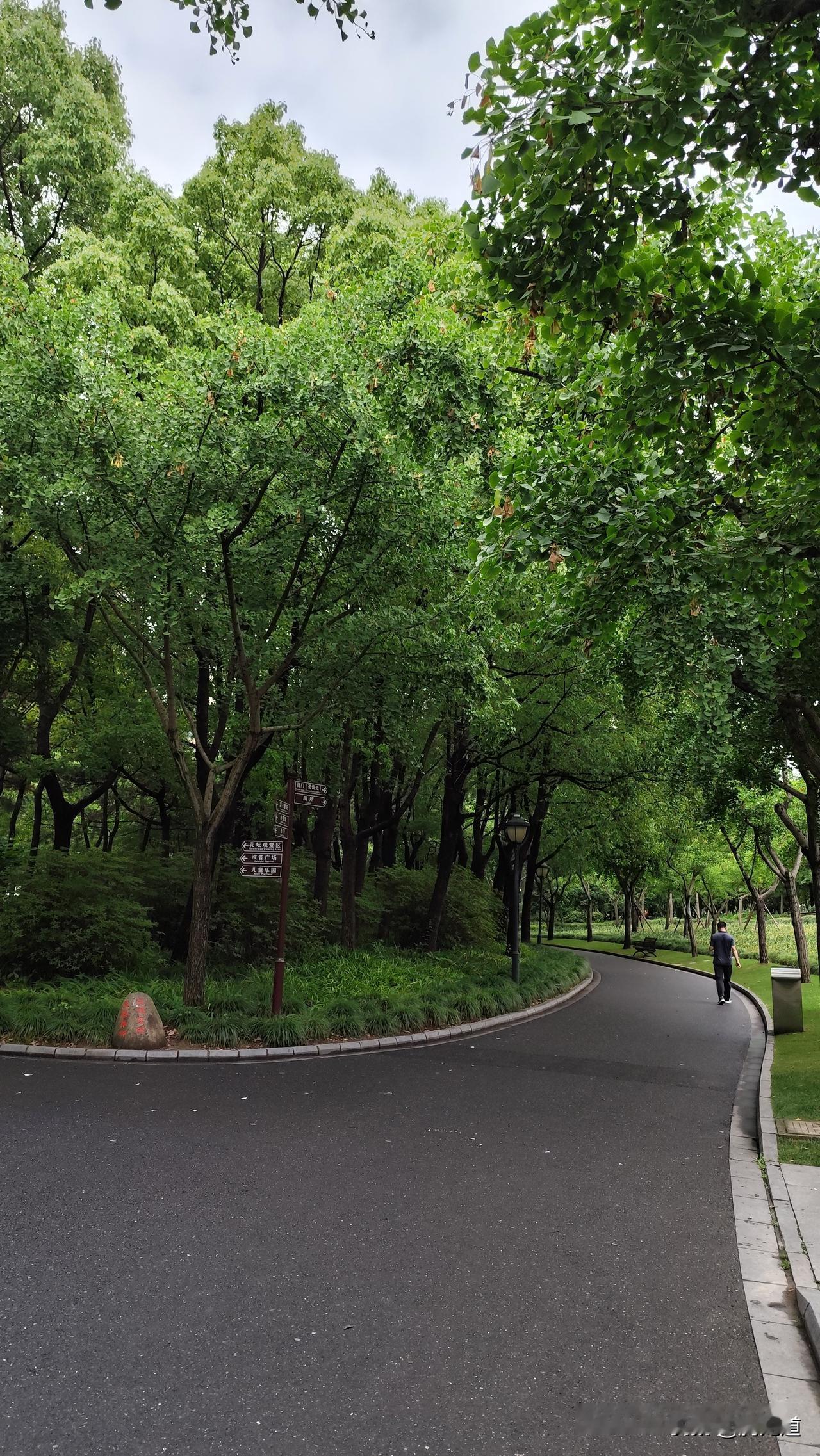 分享你随手拍的风景夏日公园步道静悄悄