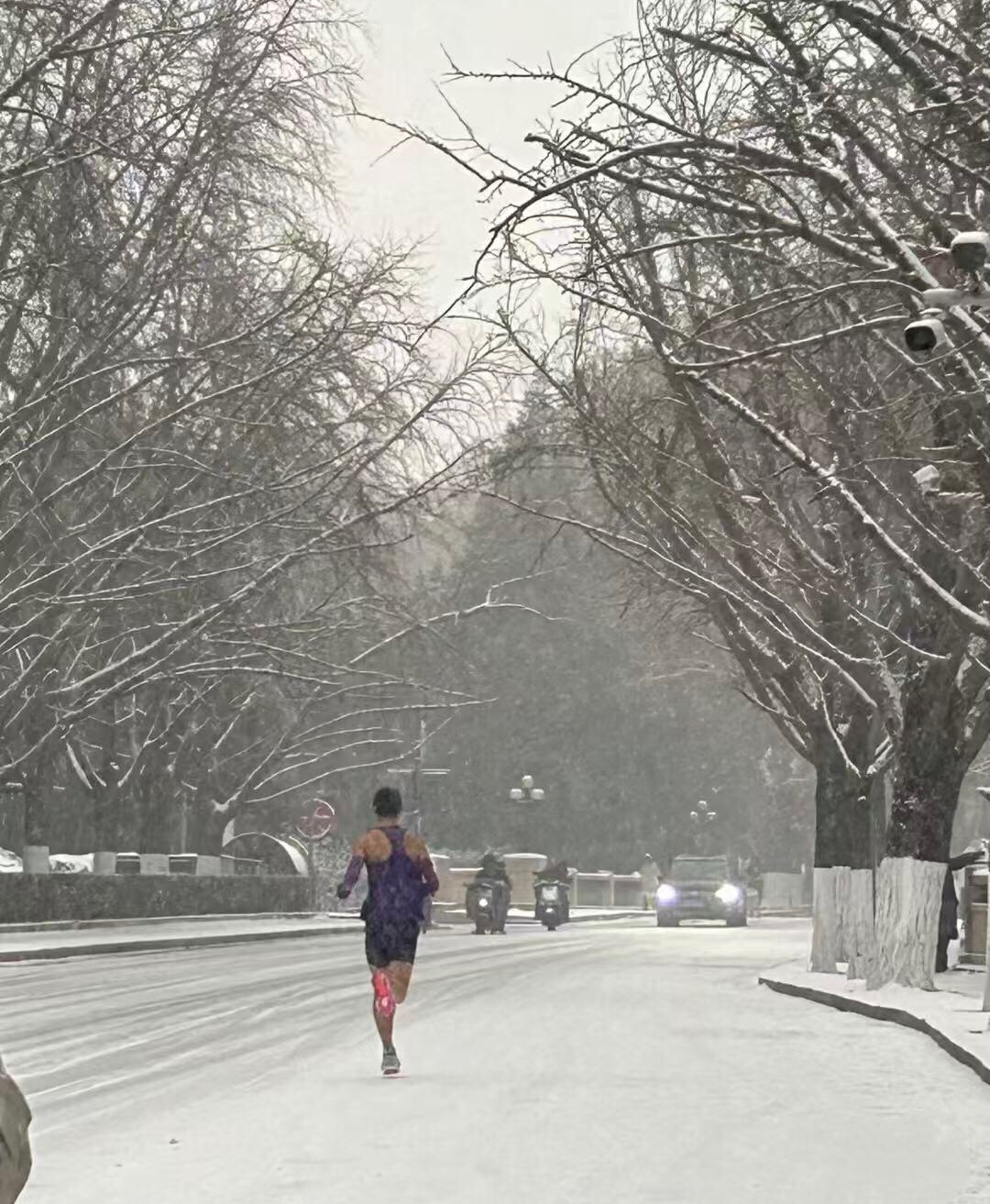 跑步人的世界四季如春人怎么能有毅力成这样最不尊重雪和秋裤的人找到了冬天就要这样动