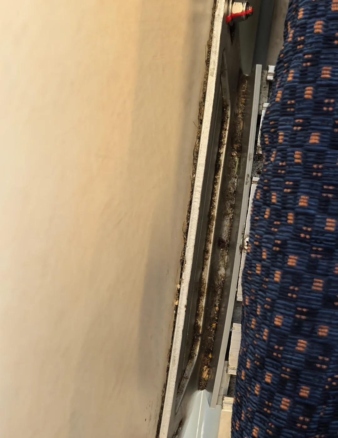 现在的高铁/城轨已经这么脏了吗
今天坐的这班车城轨，未免太老旧了吧，好歹搞好卫生