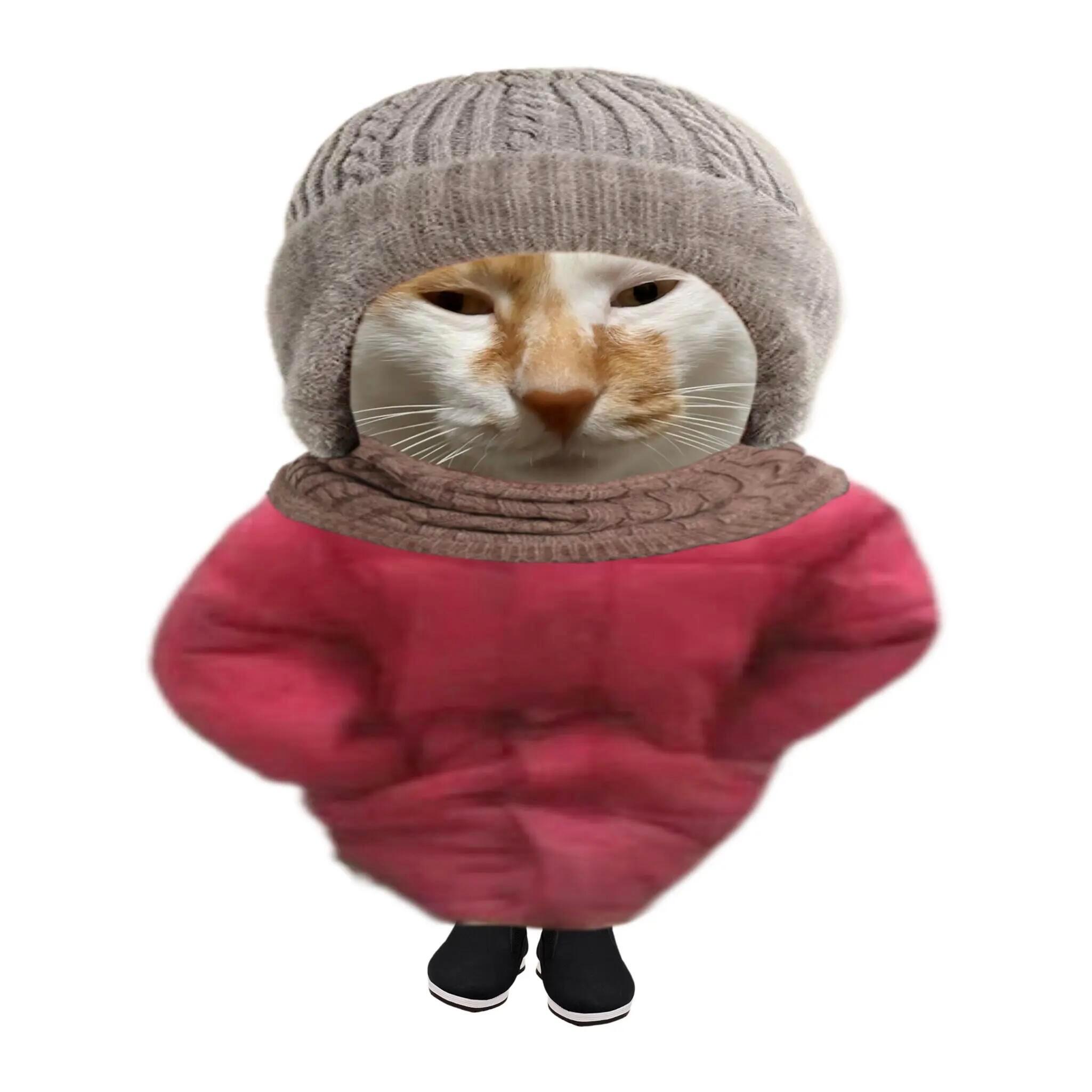 不同价位羽绒服到底差别在哪就是说冬季时尚单品非羽绒服莫属，羽绒服我要又好看又保暖