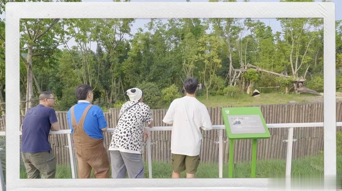 #王鹤棣遇见熊猫安逸# 居然亲手去制作了玩具，能够感受到他们的用心所在了，以后我