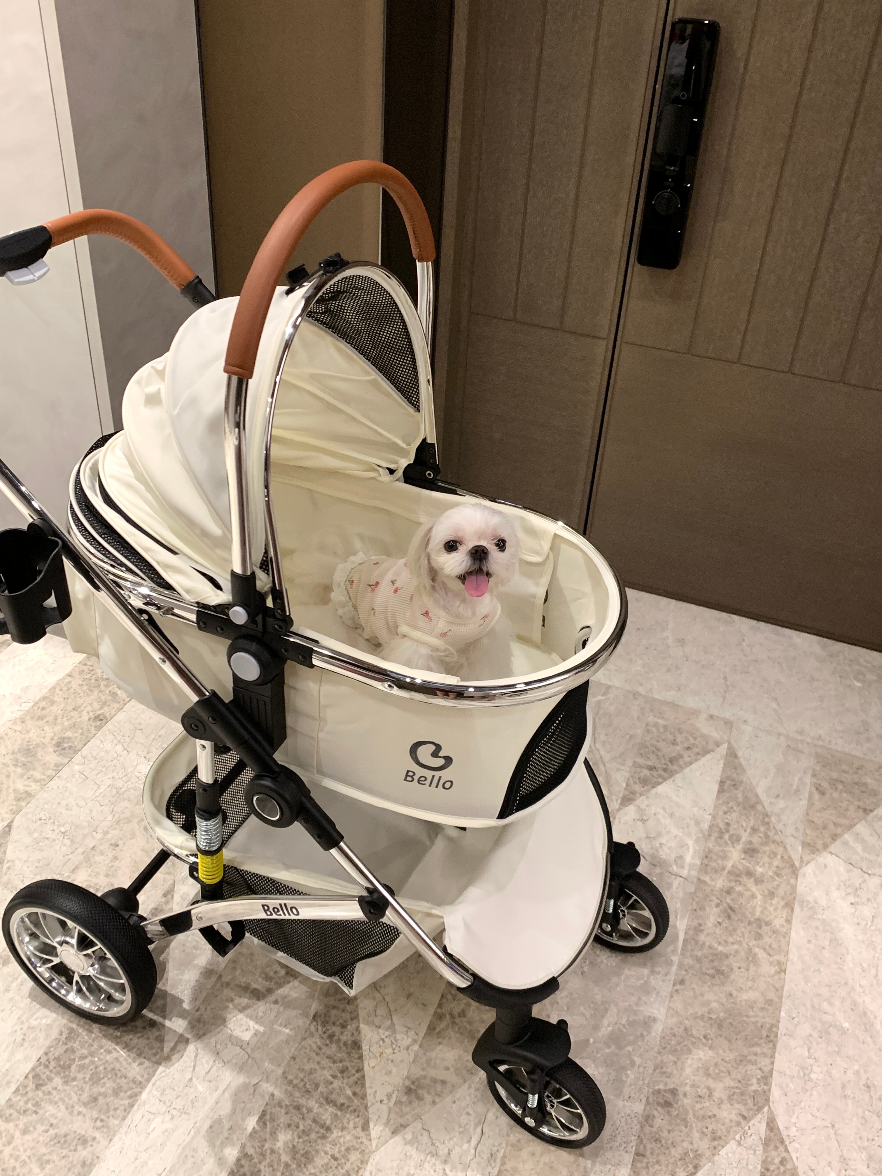 近期𝗣𝗟🫶🏻𝗚p1 给luka买的新推车 遛弯儿的时候路人都说真像个小