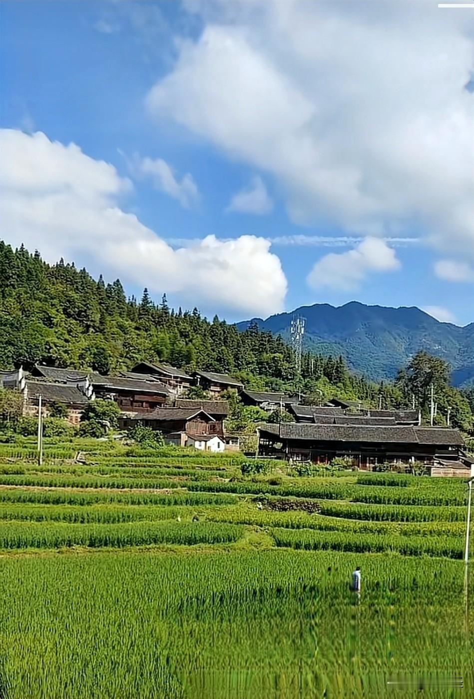 我必须要分享我拍的乡村美景。照片里是大山下那古香古色的村庄，青瓦白墙错落有致，仿