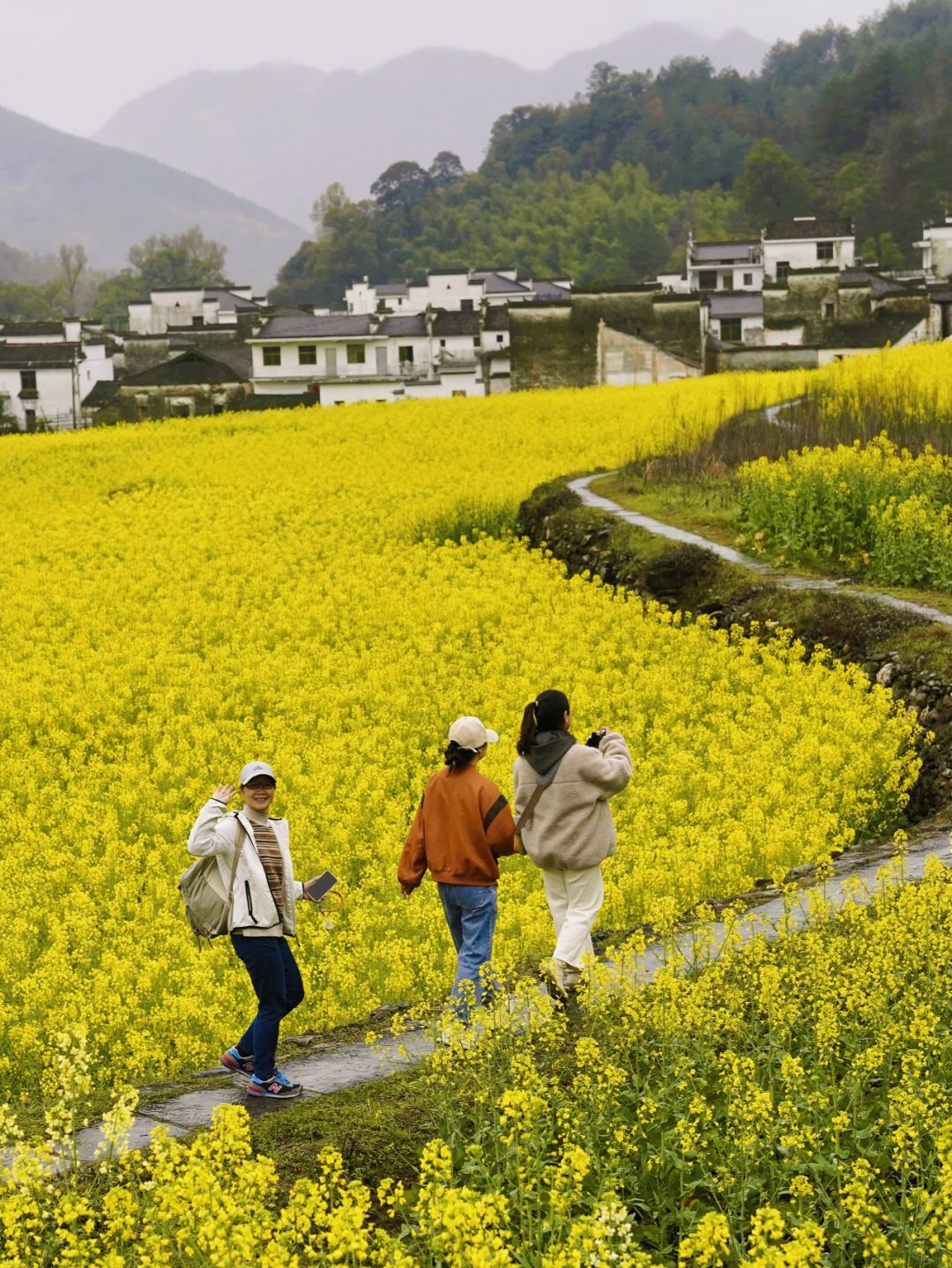刚从婺源回来，不踩雷不拥挤免门票攻略奉上
