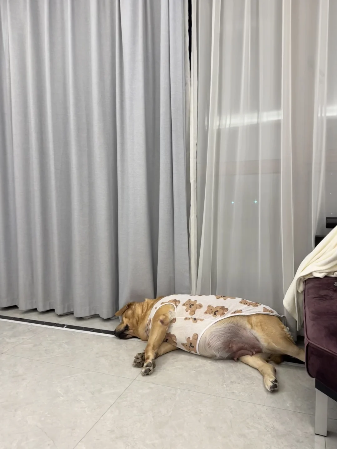 哦 是小猪生胖气了