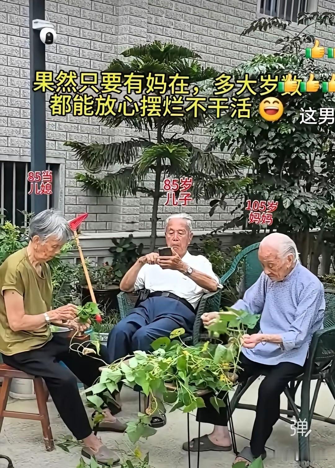 有妈在，自己永远没老