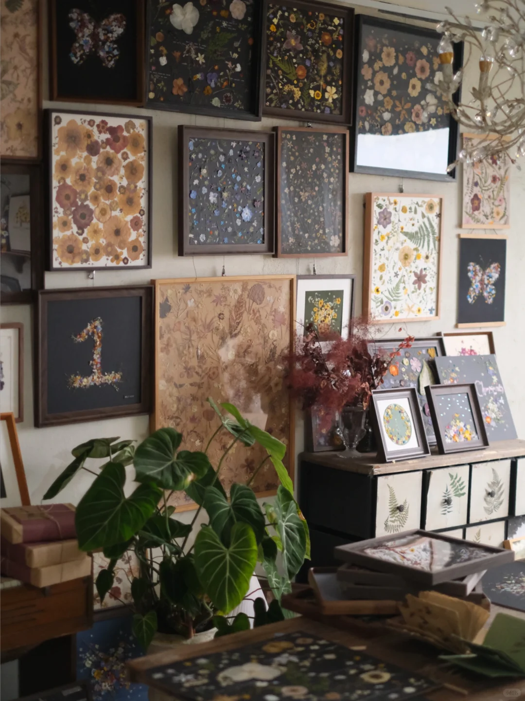 在家办个植物标本画展，我都不想出门了…