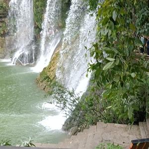 善良的醉看红尘