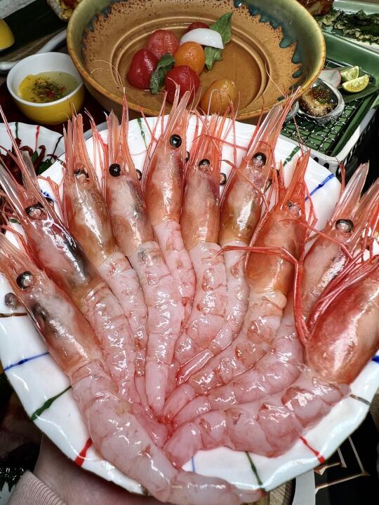 重庆首店！！人均200+实现刺身自由！太快乐